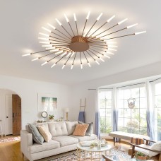 Ceiling Lamp Fixture